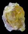 Lustrous, Yellow Cubic Fluorite Crystals - Morocco #32310-1